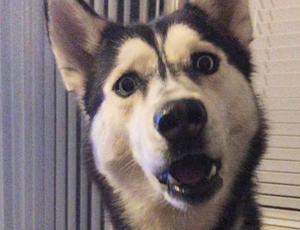 ddos压力测试平台