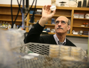 攻击网站服务器