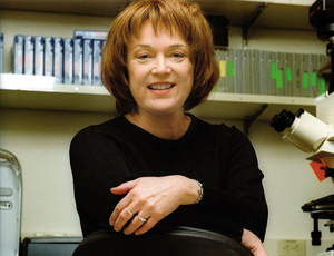 智慧且具有前瞻性的网页攻击器教程