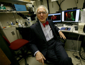 DDOS在线压力测试